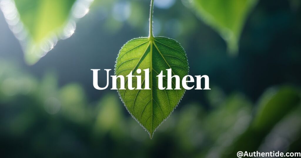 Until then