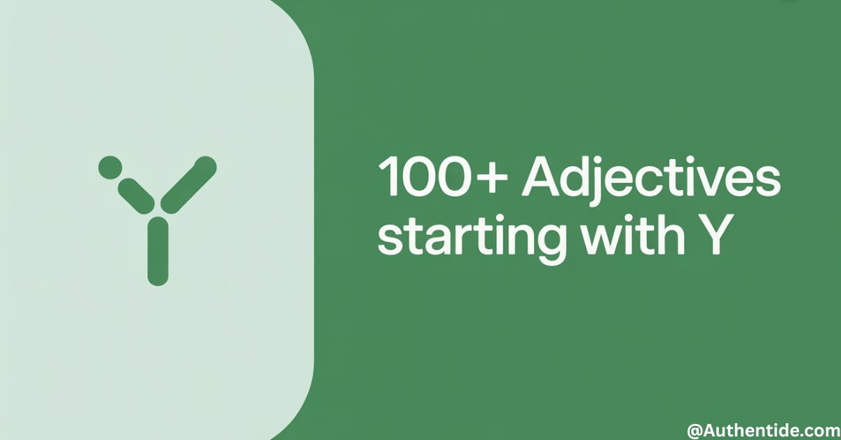 100+ Adjectives Start with Y